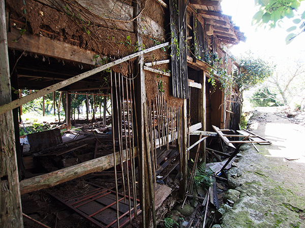 かつて650人以上が暮らした「野崎島」の廃村跡を歩くのサムネイル